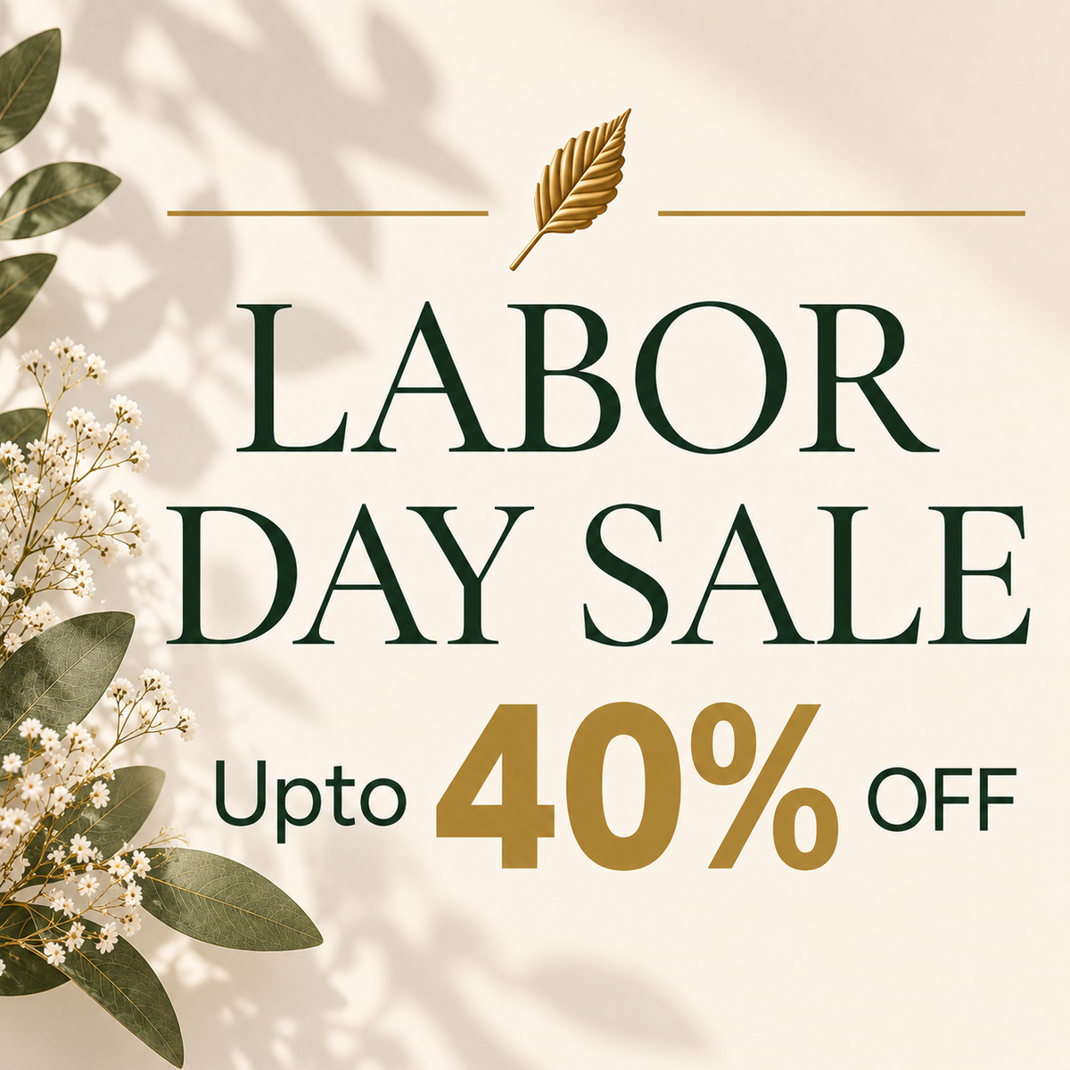Birch Deals