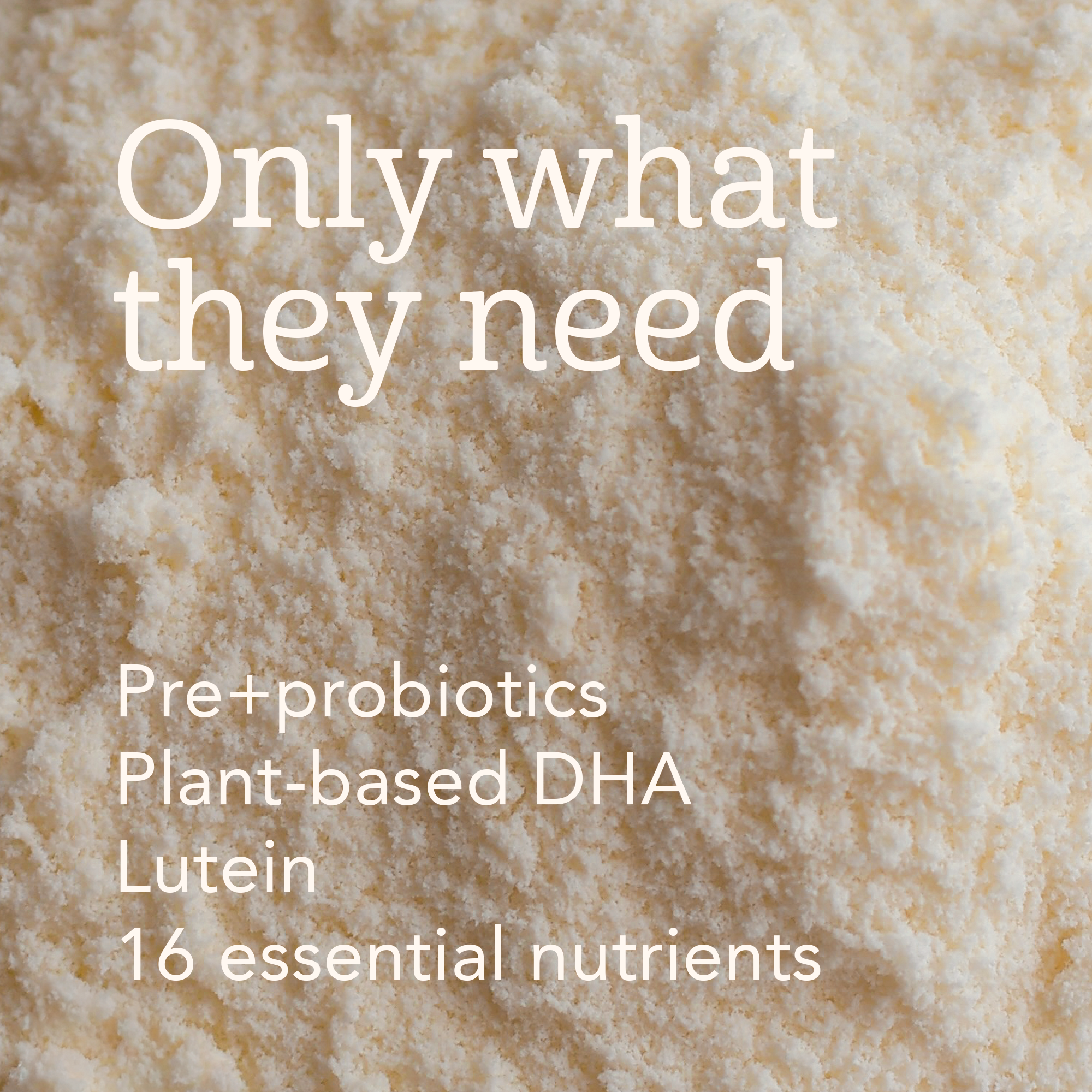 Haven Oat Toddler Formula | Dairy Free, Non-GMO Oat Milk