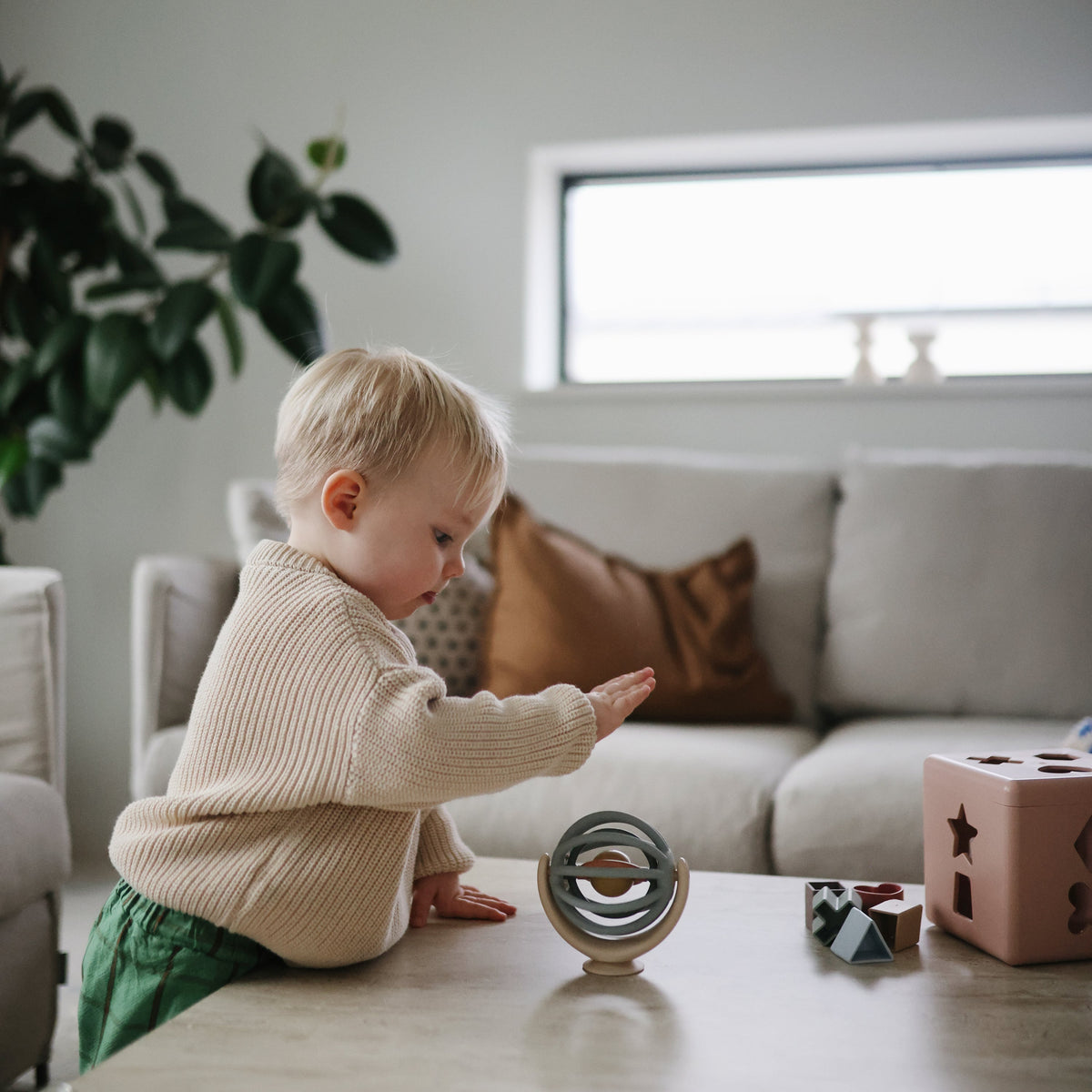 Suction Spinner Ball - Mushie