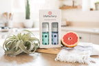 6 Glass Bottle Baby Starter Kit