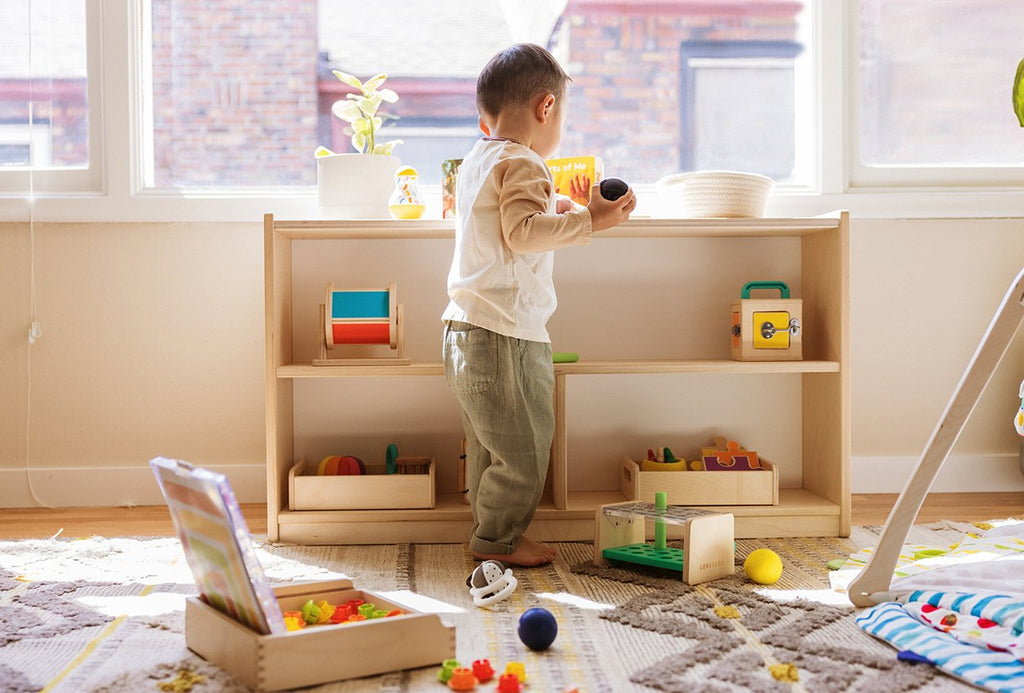 The Montessori Playshelf