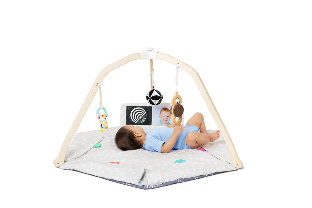 Lovevery, The Play Gym, 5-Stage Baby Developmental for Full Year of Play