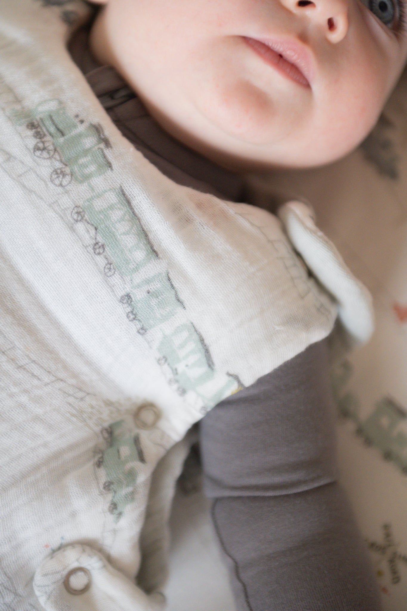 1.7 TOG Sleep Bag — Locomotive