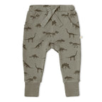 Organic Kimono Onesie & Pants Set - Dino