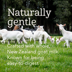 Haven Goat Toddler Formula | NZ Grass Fed Whole Milk