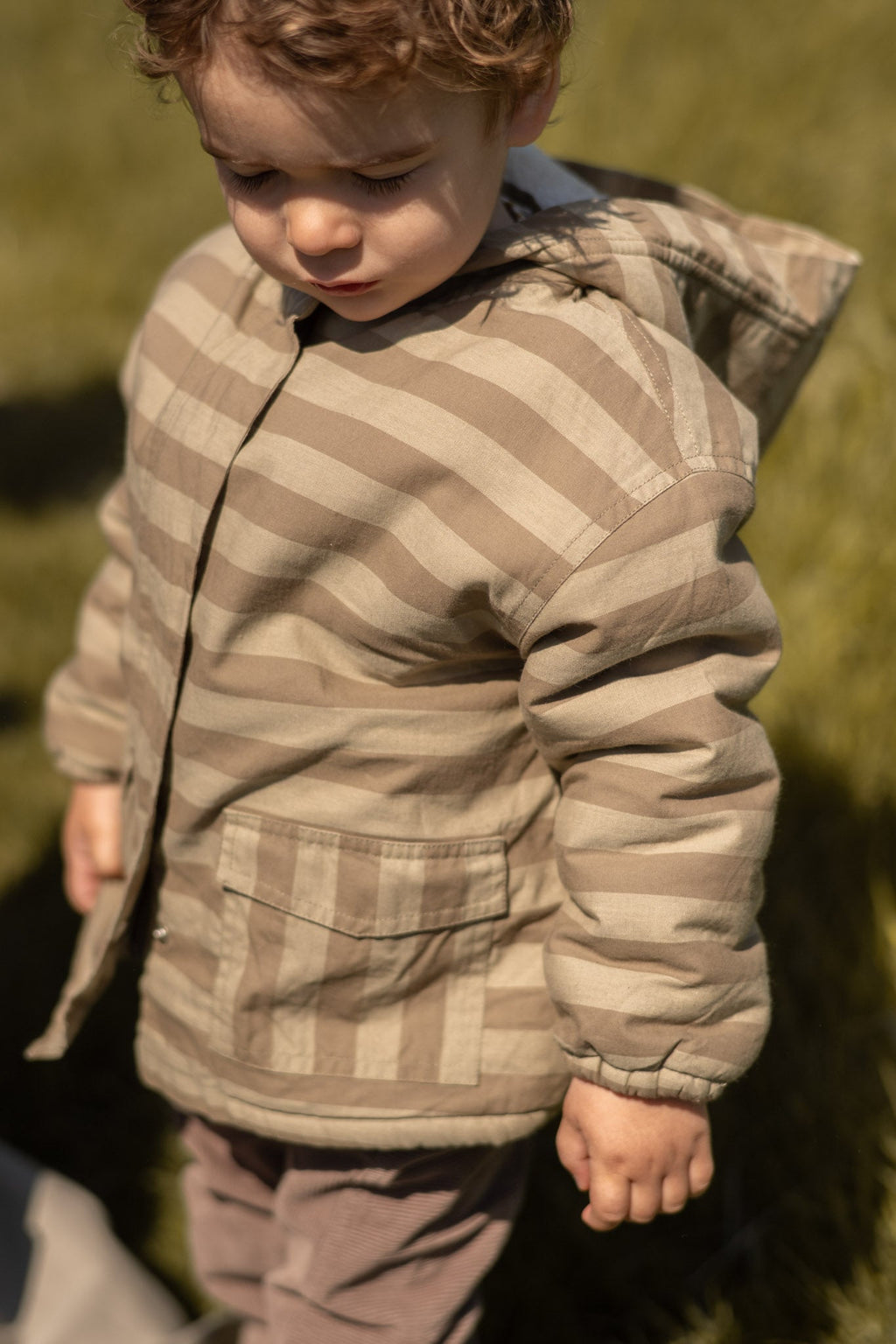Sherpa Lined Storm Jacket — Moss Stripe