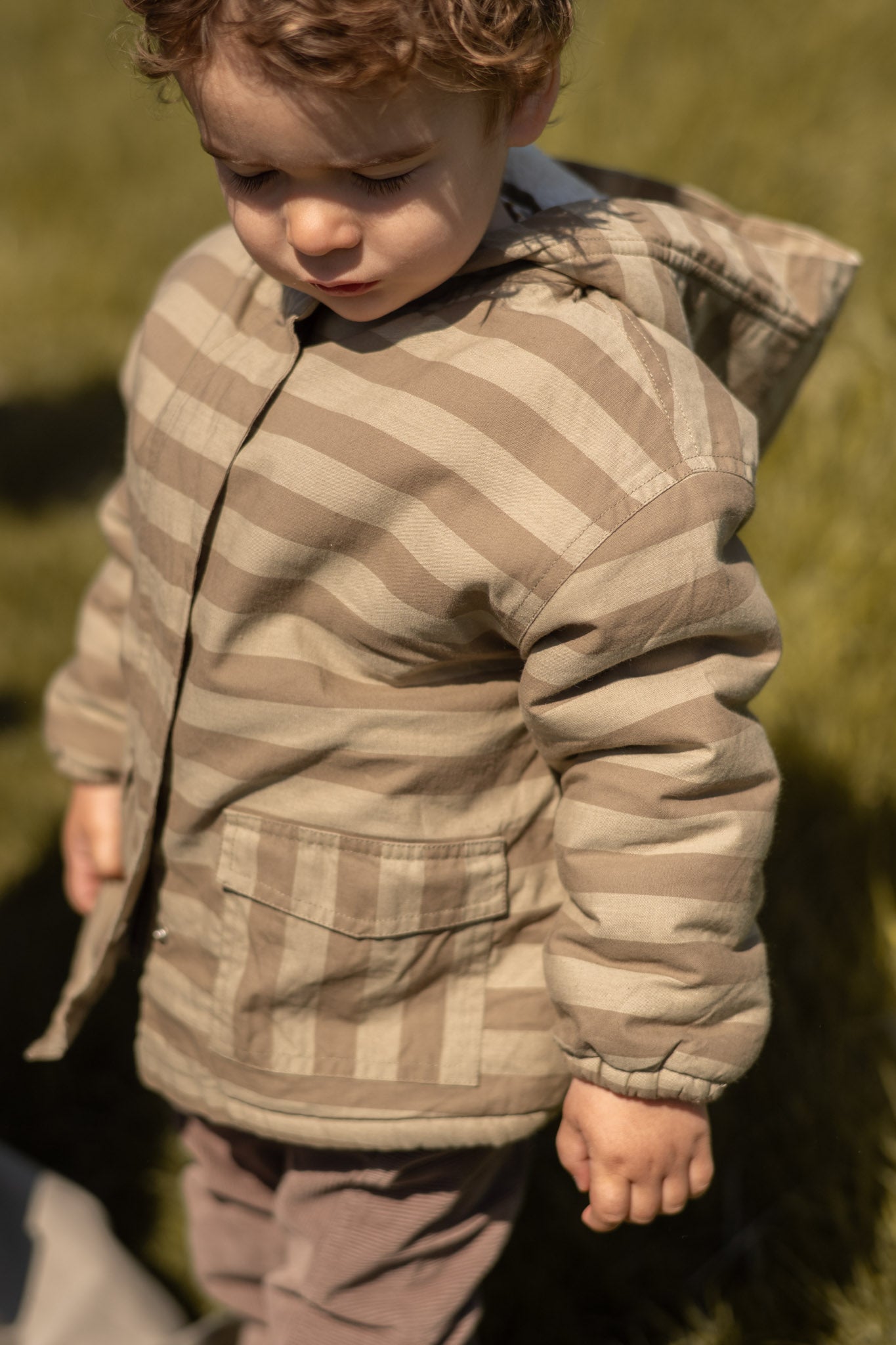 Sherpa Lined Storm Jacket — Moss Stripe