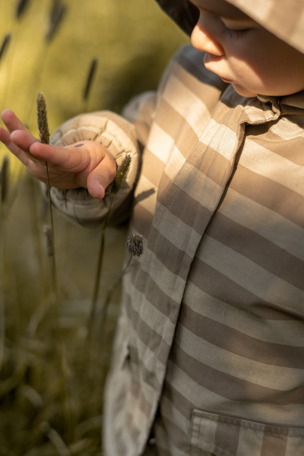 Sherpa Lined Storm Jacket — Moss Stripe