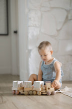 My Little Locomotive Library: 15-Book + Train Set