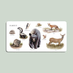 Nuestro gran libro de los animales (libro de cartón)