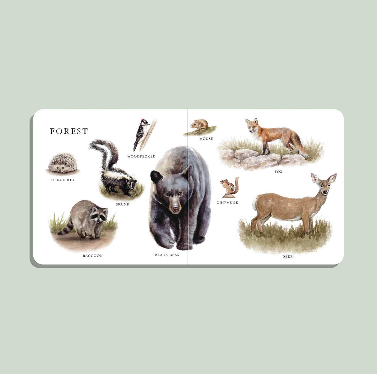 Nuestro gran libro de los animales (libro de cartón)