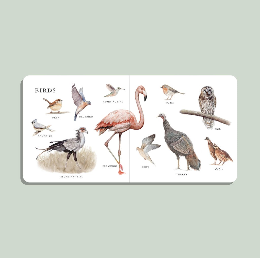 Nuestro gran libro de los animales (libro de cartón)