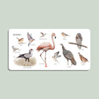 Nuestro gran libro de los animales (libro de cartón)