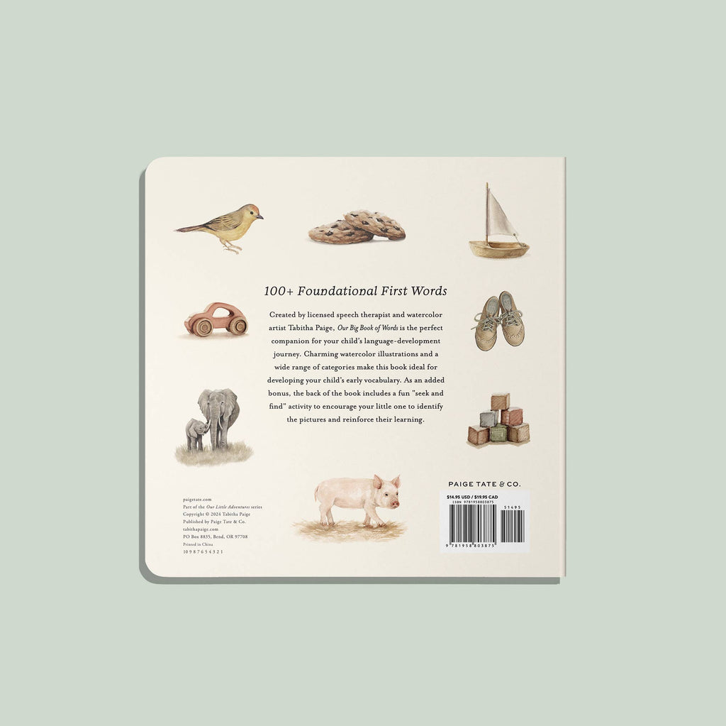 Nuestro gran libro de primeras palabras (libro de cartón)