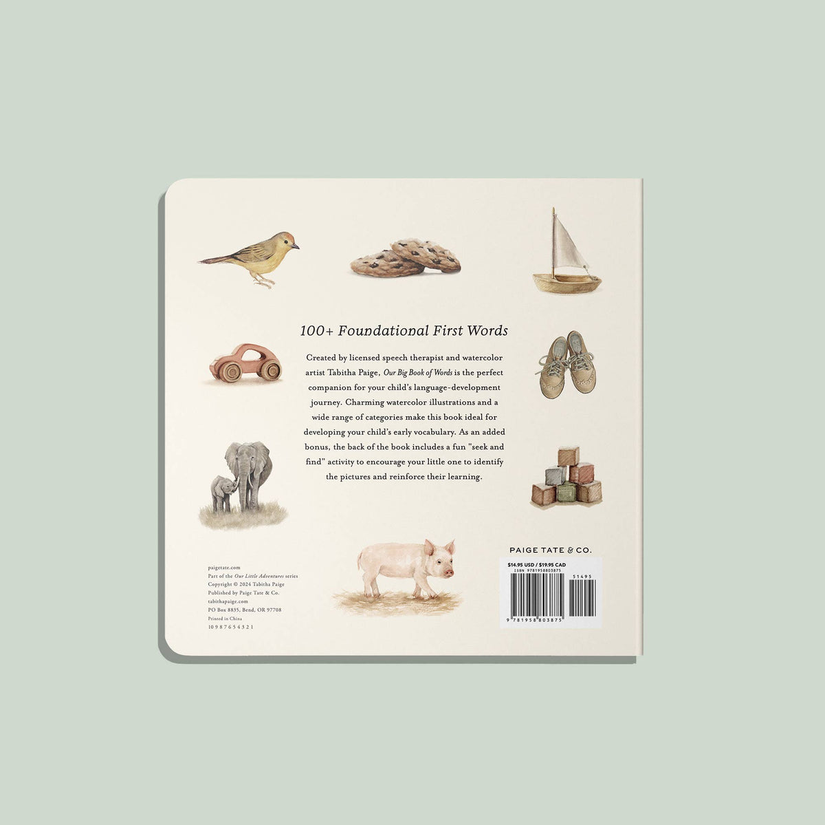 Nuestro gran libro de primeras palabras (libro de cartón)