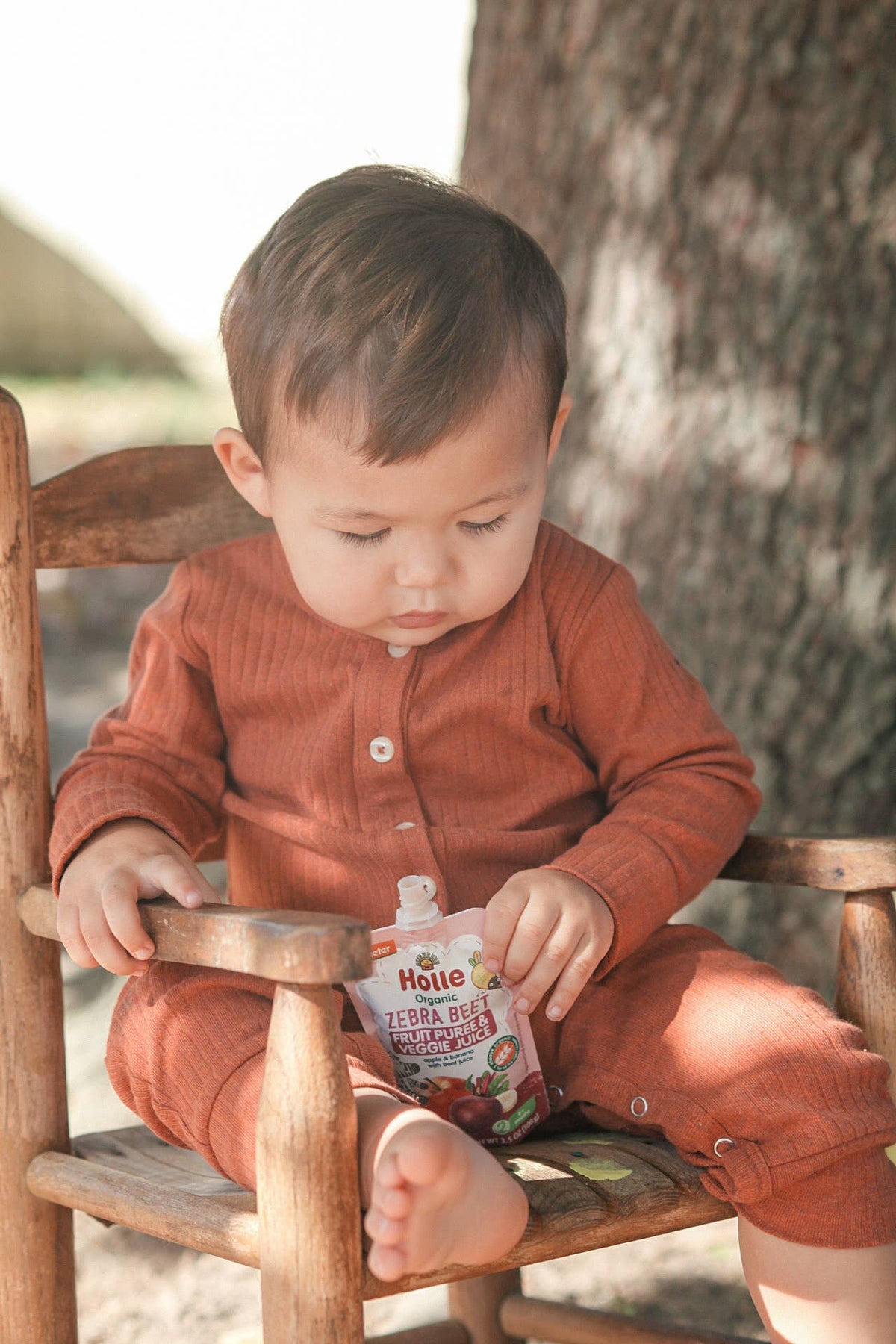 Holle Biodynamic Baby Food Pouches: Zebra Beet (12 pack)