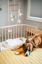 babybay Cuna adosada