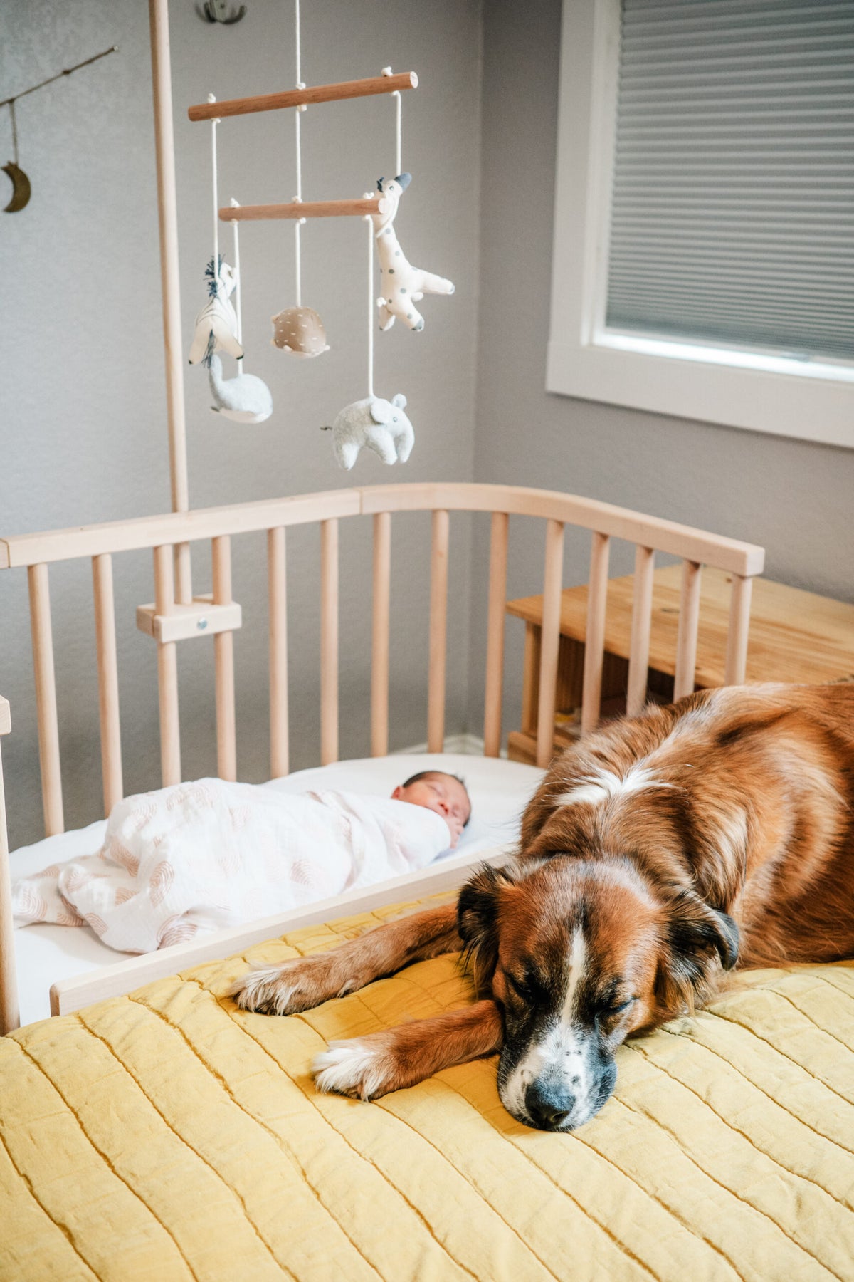 babybay Cuna adosada