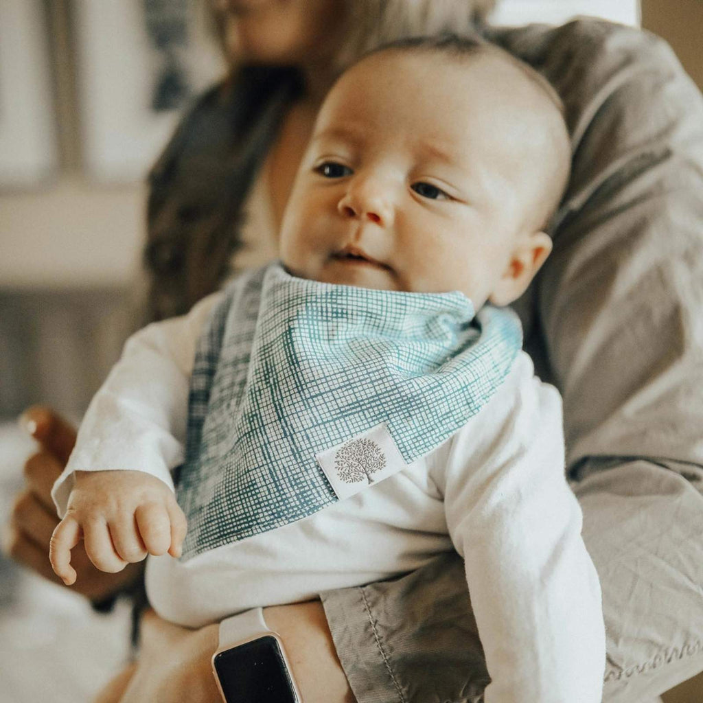 Bandana Bib Set