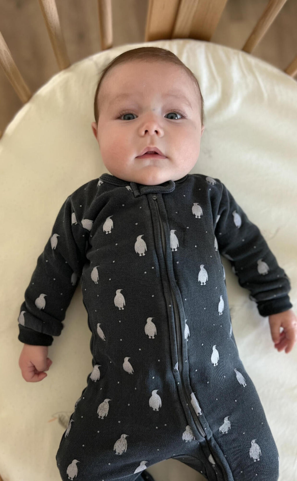 Coal Penguin | Organic Cozy Zipper Footie