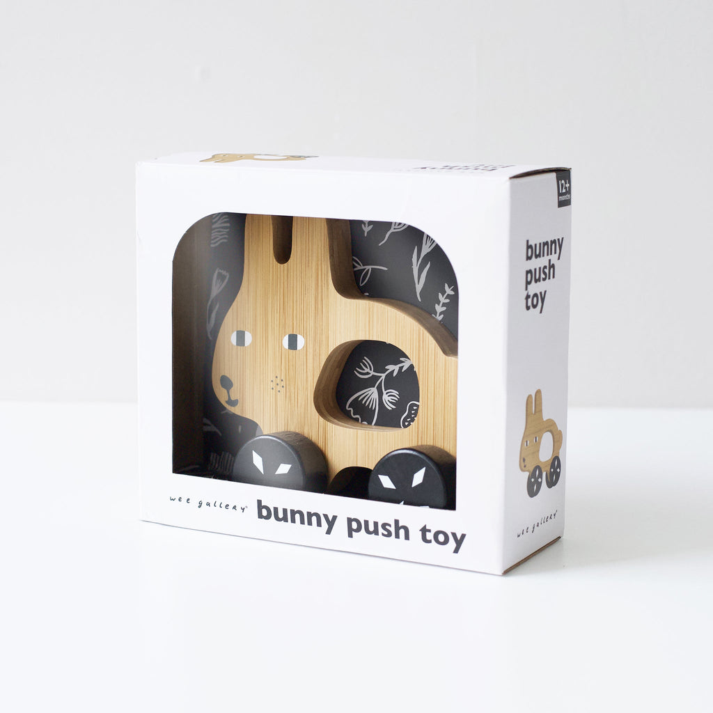 Push Toy