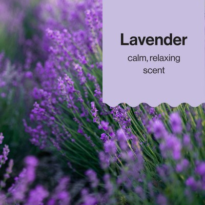 The Honest Company Calm Face + Body Lotion - Lavender - 8.5 fl oz