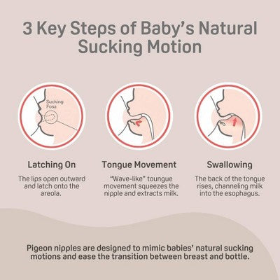 Pigeon Nurture & Nest Anti-colic Silicone Bottle Nipples with Latch-On Line