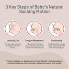 Pigeon Nurture & Nest Anti-colic Silicone Bottle Nipples with Latch-On Line