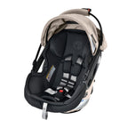 Jog, Lounge, & Ride Travel System