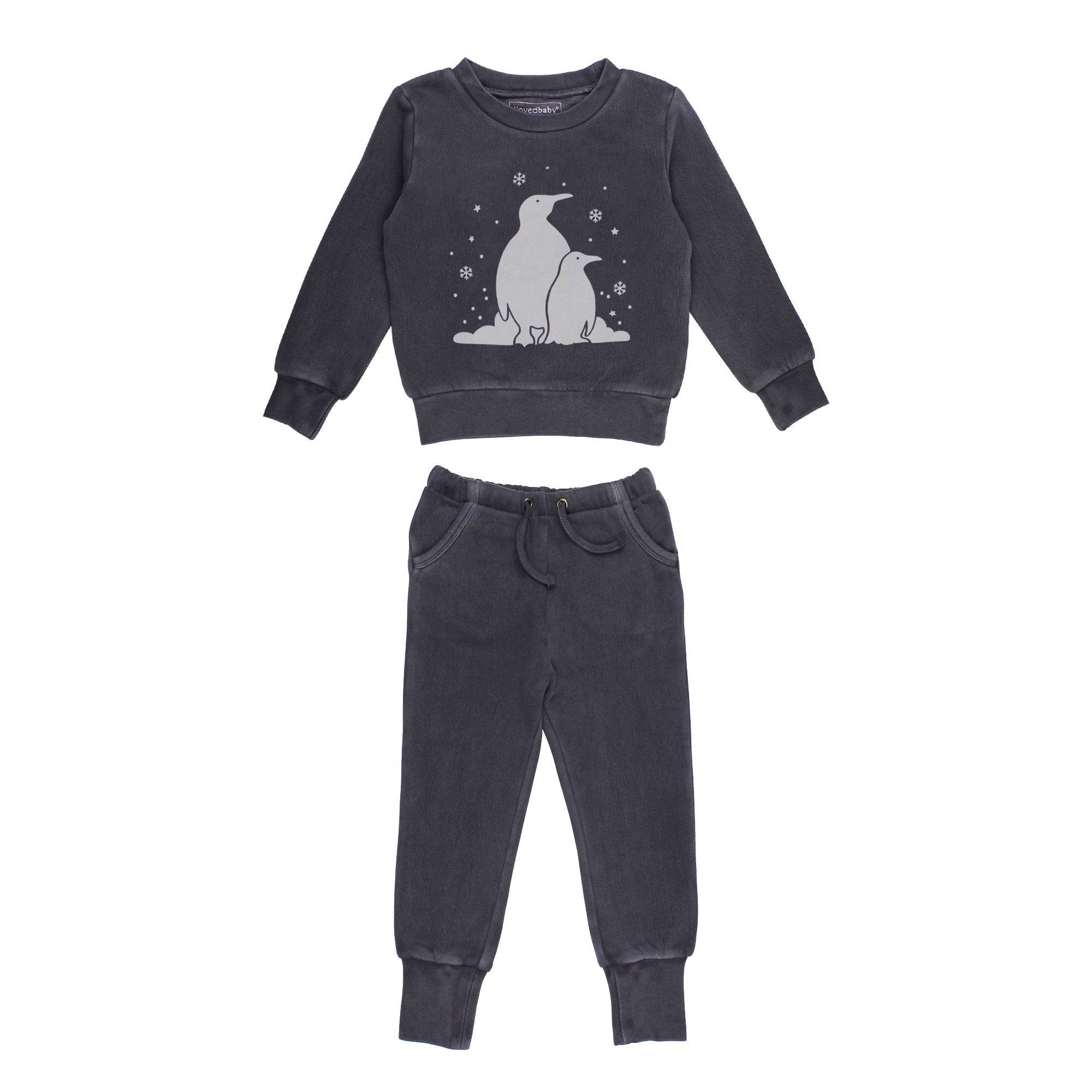 Coal Penguin | Kids' Organic Cozy Graphic Sweatshirt & Jogger Set