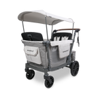L4 Stroller Wagon (4 Seater)