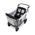 L4 Stroller Wagon (4 Seater)