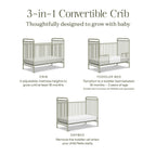 Abigail 3-in-1 Convertible Crib