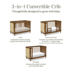 Marin with Cane 3-in-1 Convertible Crib