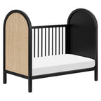 Bondi Cane 3-in-1 Convertible Crib with Toddler Bed Conversion Kit
