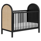Bondi Cane 3-in-1 Convertible Crib with Toddler Bed Conversion Kit