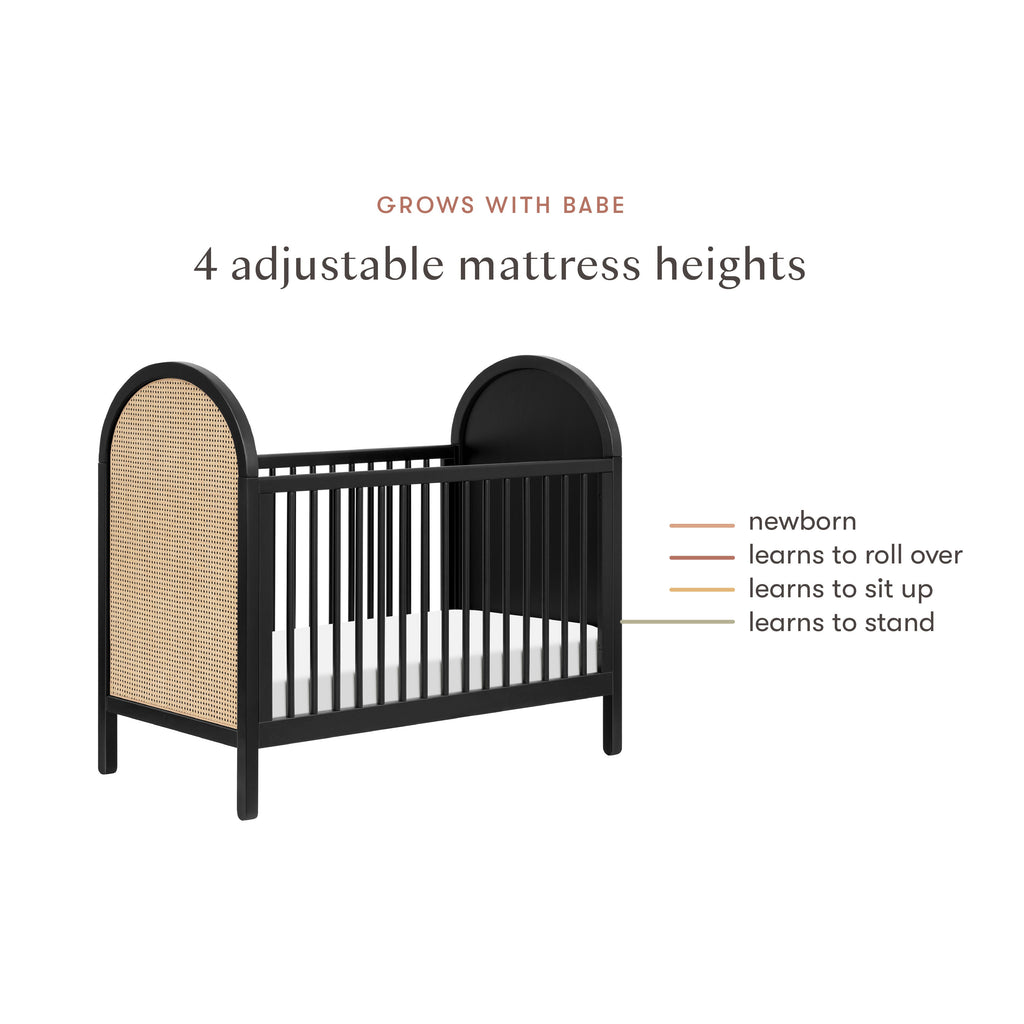 Bondi Cane 3-in-1 Convertible Crib with Toddler Bed Conversion Kit