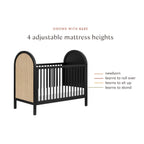 Bondi Cane 3-in-1 Convertible Crib with Toddler Bed Conversion Kit