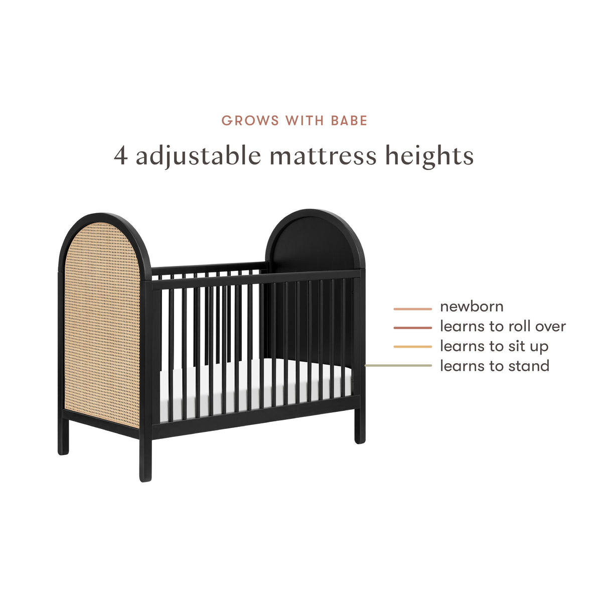 Bondi Cane 3-in-1 Convertible Crib with Toddler Bed Conversion Kit