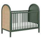 Bondi Cane 3-in-1 Convertible Crib with Toddler Bed Conversion Kit