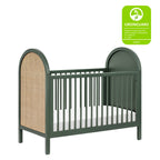 Bondi Cane 3-in-1 Convertible Crib with Toddler Bed Conversion Kit