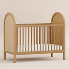 Bondi Cane 3-in-1 Convertible Crib with Toddler Bed Conversion Kit