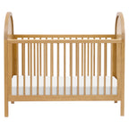 Bondi Cane 3-in-1 Convertible Crib with Toddler Bed Conversion Kit