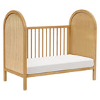 Bondi Cane 3-in-1 Convertible Crib with Toddler Bed Conversion Kit