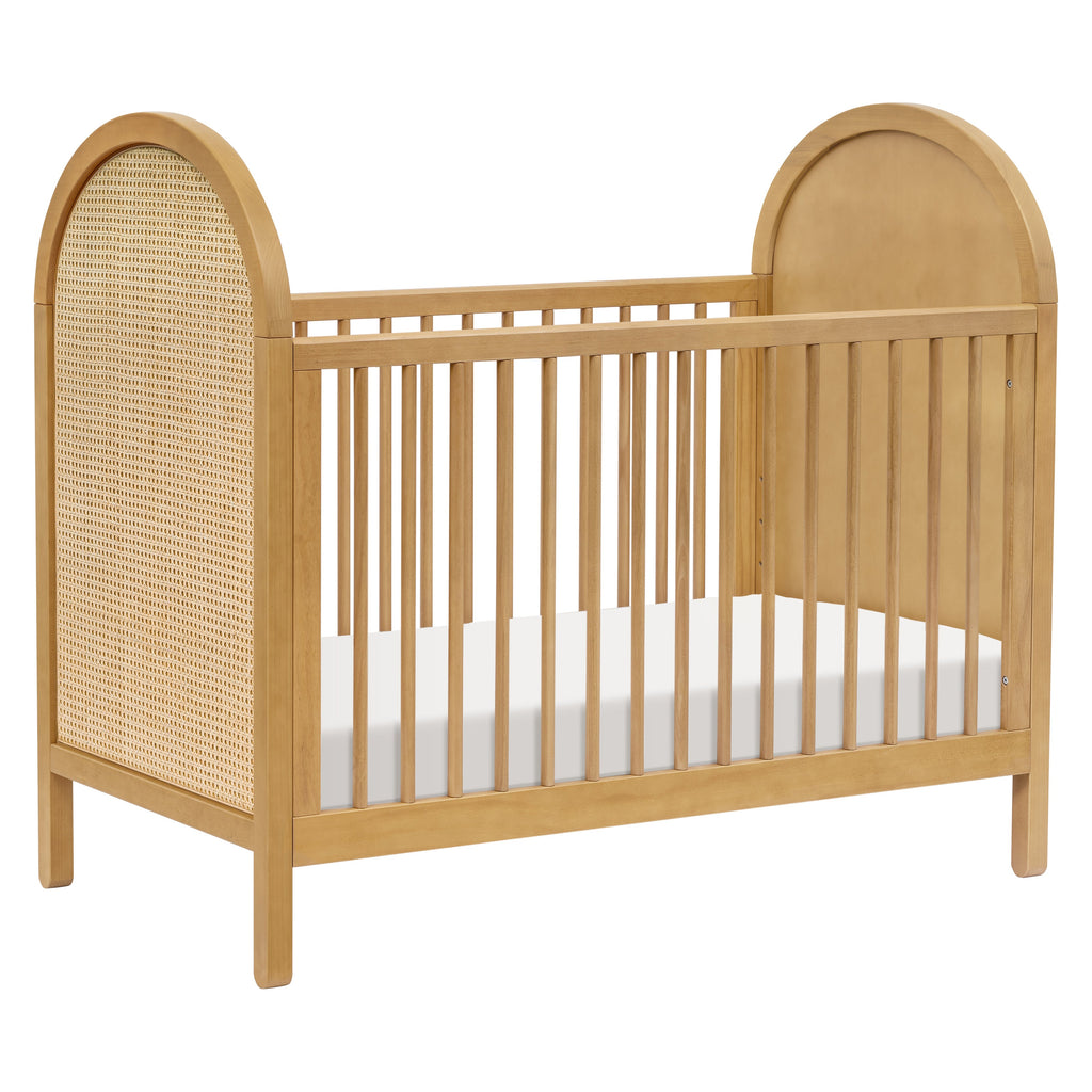Bondi Cane 3-in-1 Convertible Crib with Toddler Bed Conversion Kit