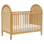 Bondi Cane 3-in-1 Convertible Crib with Toddler Bed Conversion Kit