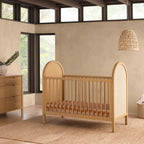 Bondi Cane 3-in-1 Convertible Crib with Toddler Bed Conversion Kit