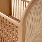 Bondi Cane 3-in-1 Convertible Crib with Toddler Bed Conversion Kit