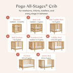 Pogo 8-in-1 Convertible Crib with All-Stages® Conversion Kits