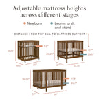 Pogo 8-in-1 Convertible Crib with All-Stages® Conversion Kits